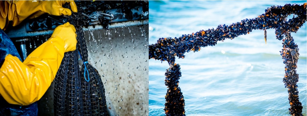 About Yukon-Kuskokwim Delta Tribal Broadband Consortia